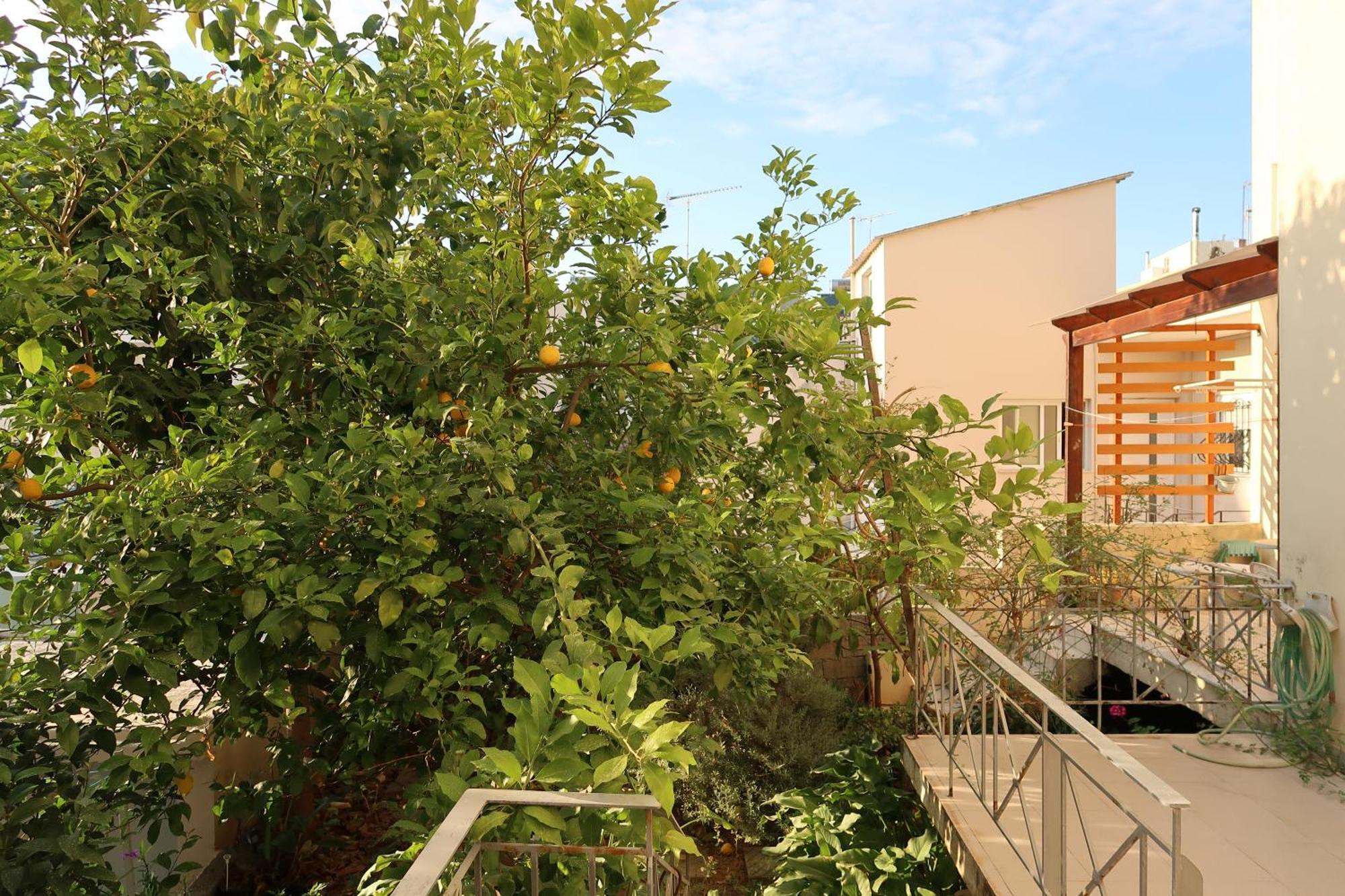 Sunbeam Retreat Villa Hanya Dış mekan fotoğraf