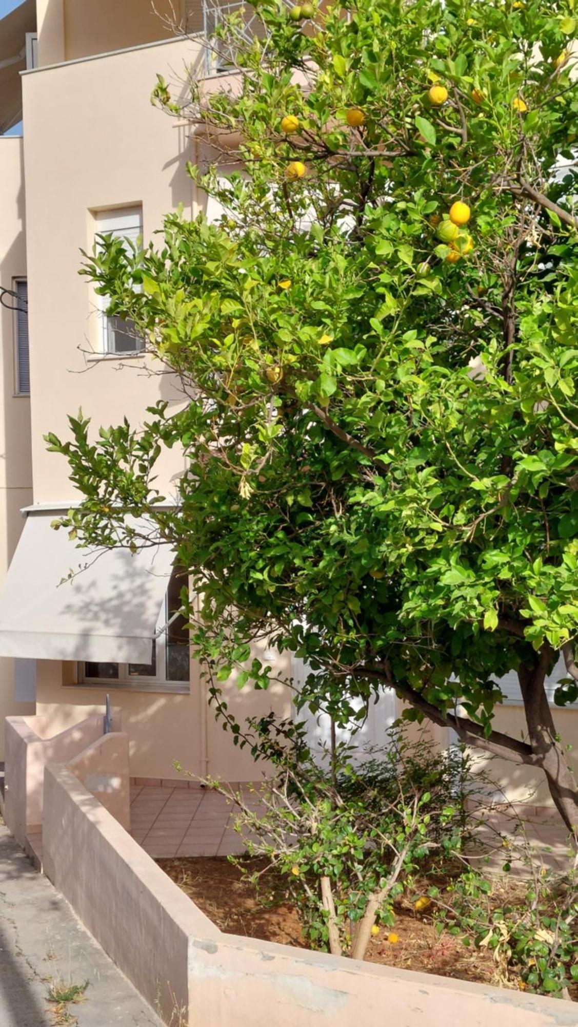 Sunbeam Retreat Villa Hanya Dış mekan fotoğraf